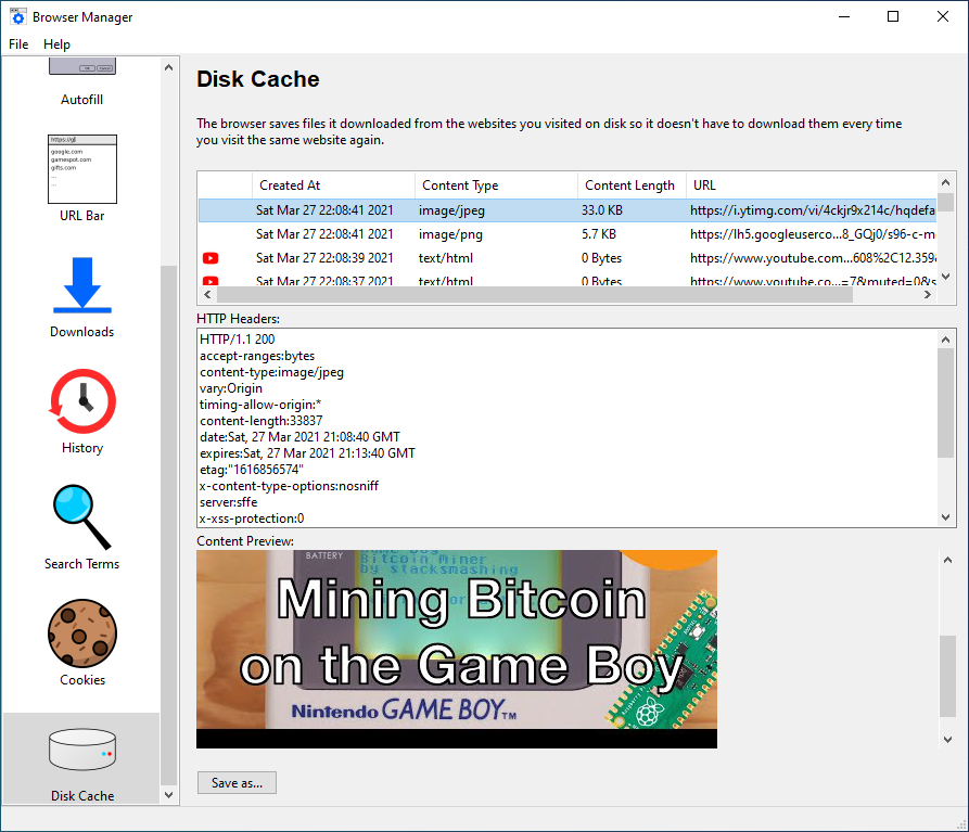 Disk Cache Browser