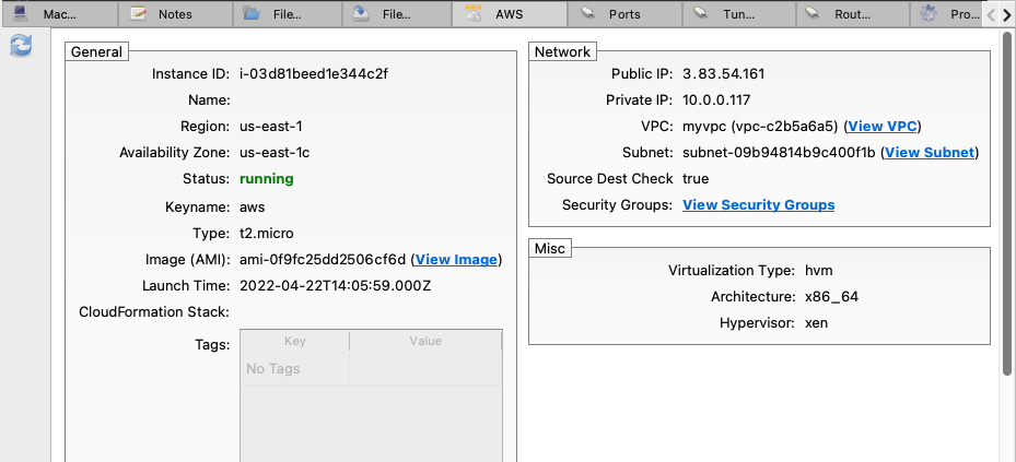 Details of an AWS instance as shown in SSH Commander